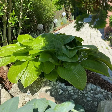Homestay Nad Sola Oswiecim